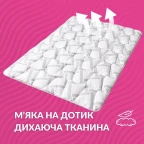 Набір подушка 50х70 см та полуторна зимова ковдра 140х210 см Elegantly IDEIA штучний пух